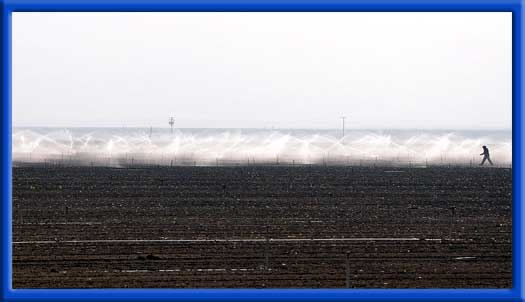 ROW CROPS - CLEAN SPRINKLERS AND PIPES UNIFORM IRRIGATION